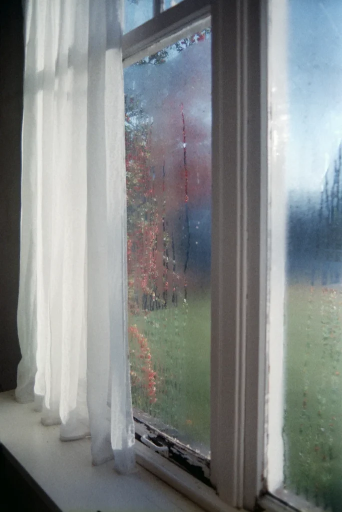 Schimmel am Fenster entfernen - beschlagenes Fenster mit Vorhang