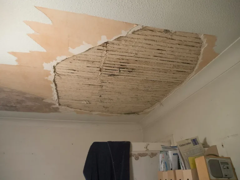 Wasserschadenreinigung Firma